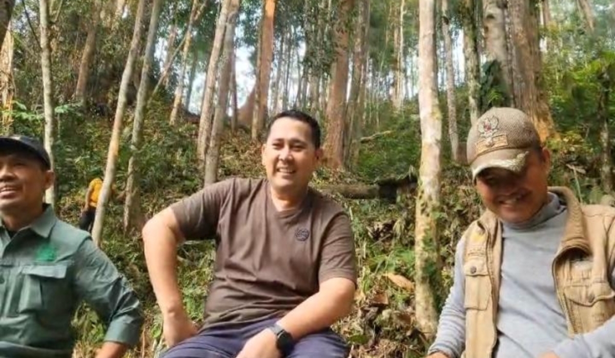 Berita Merangin