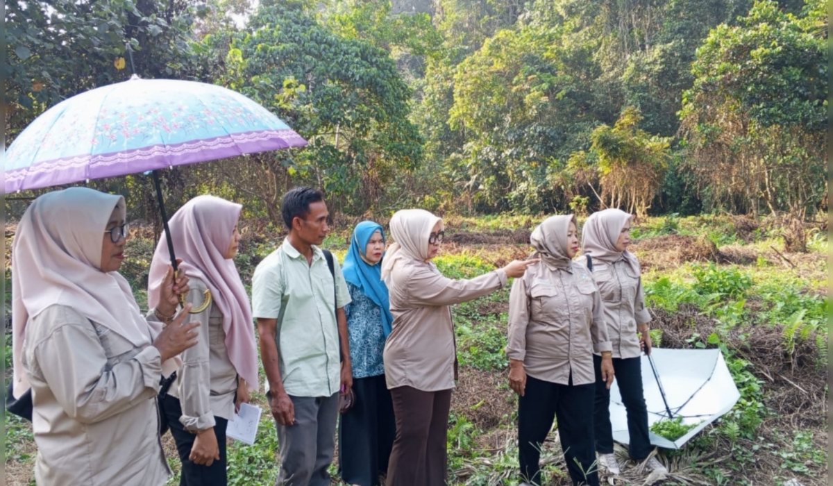 Berita Merangin