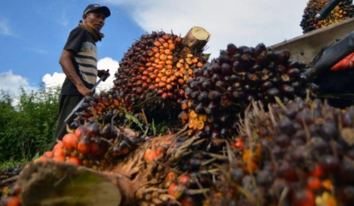 Berita Merangin