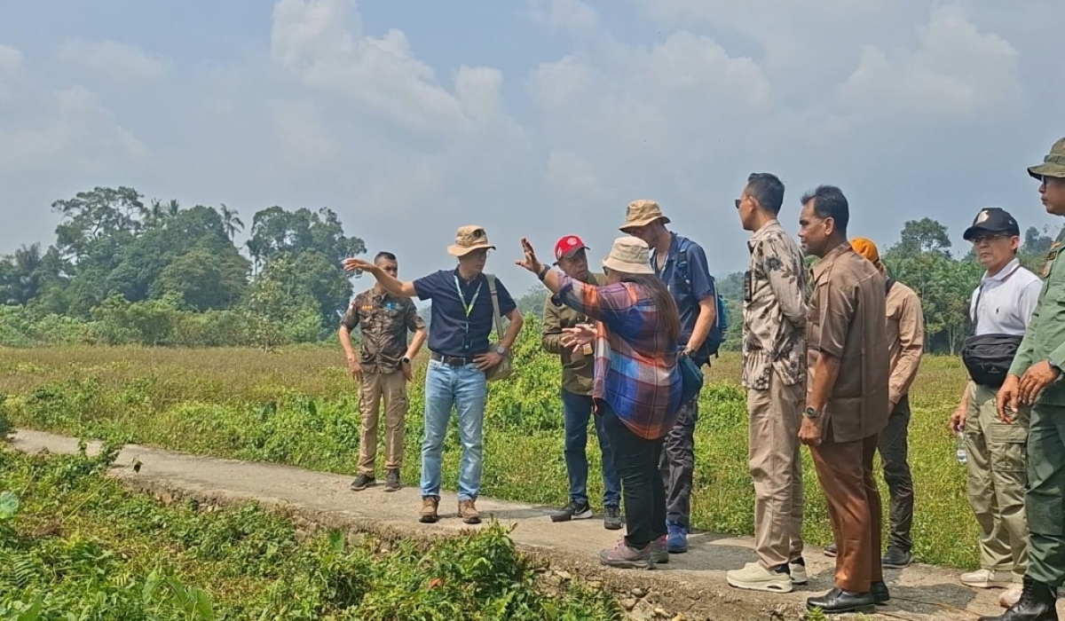 Berita Merangin