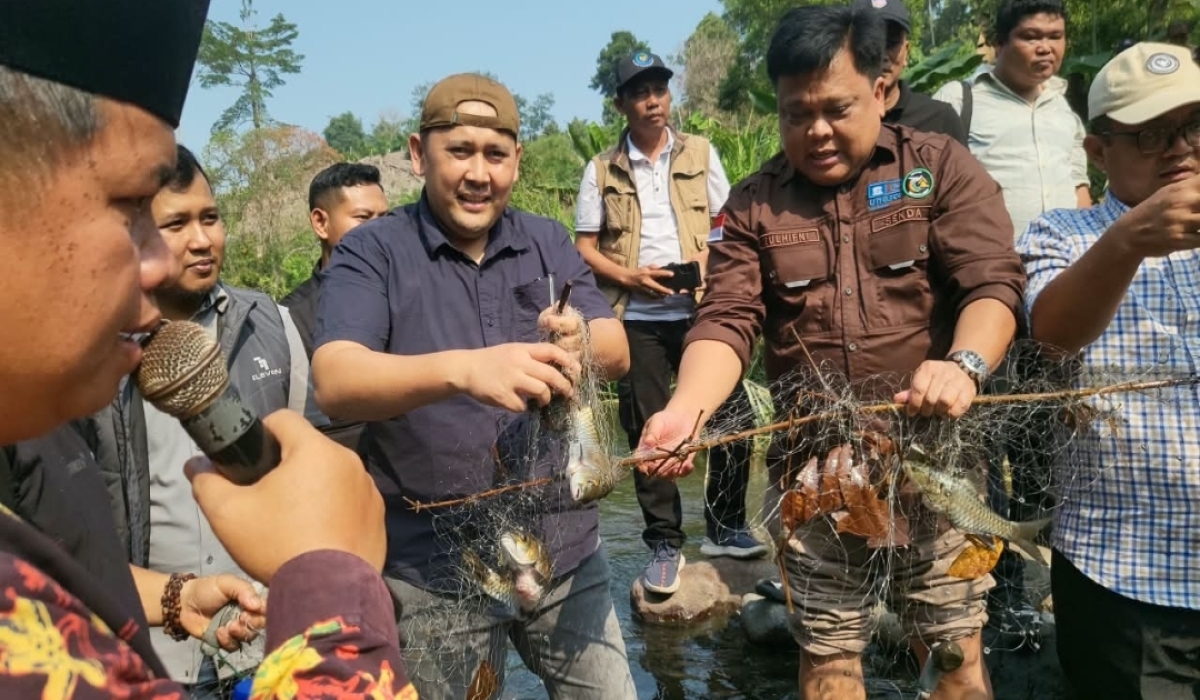 Berita Merangin