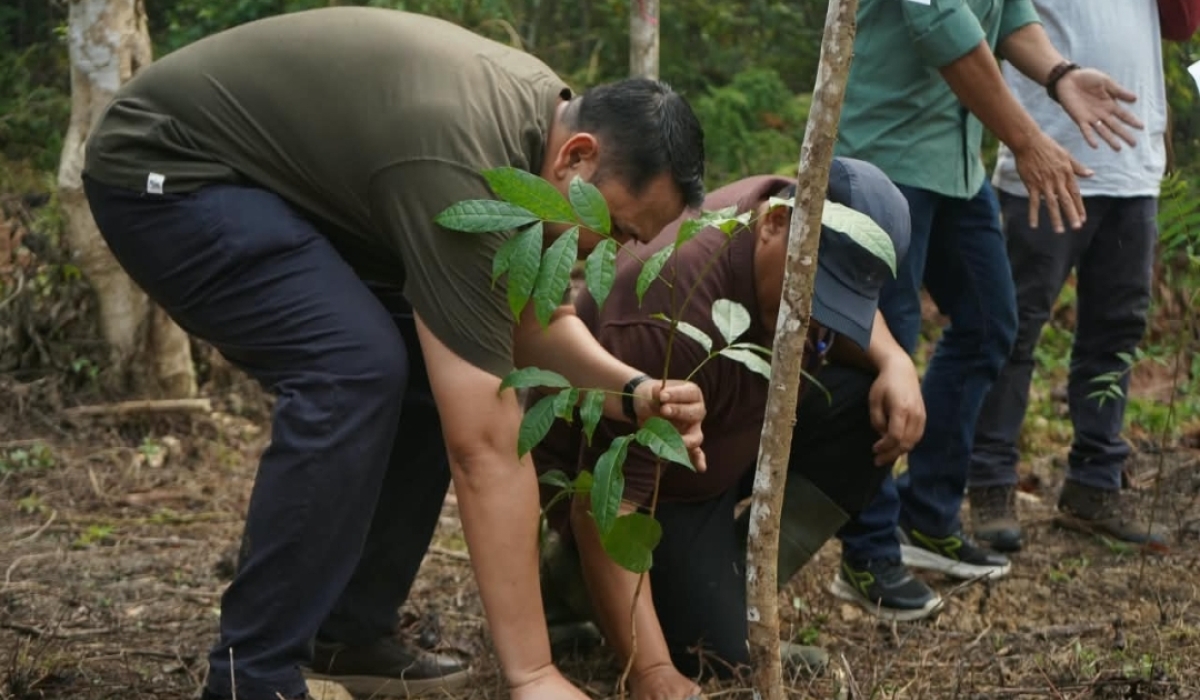 Berita Merangin